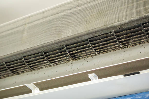 Best Best Air Duct Cleaning Company  in Grand Rapids, MI